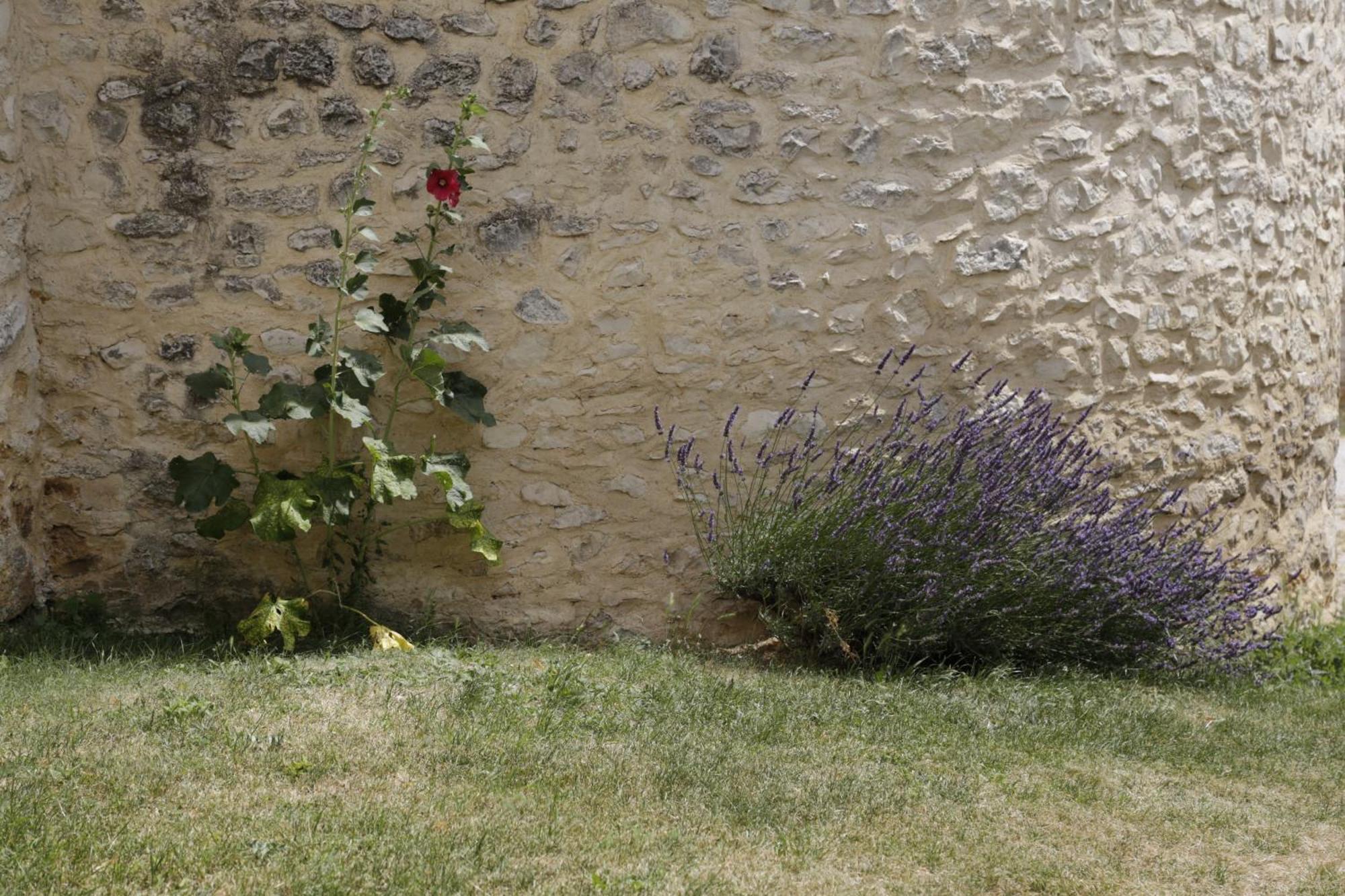 Couette-café Château De La Gabelle Ferrassieres