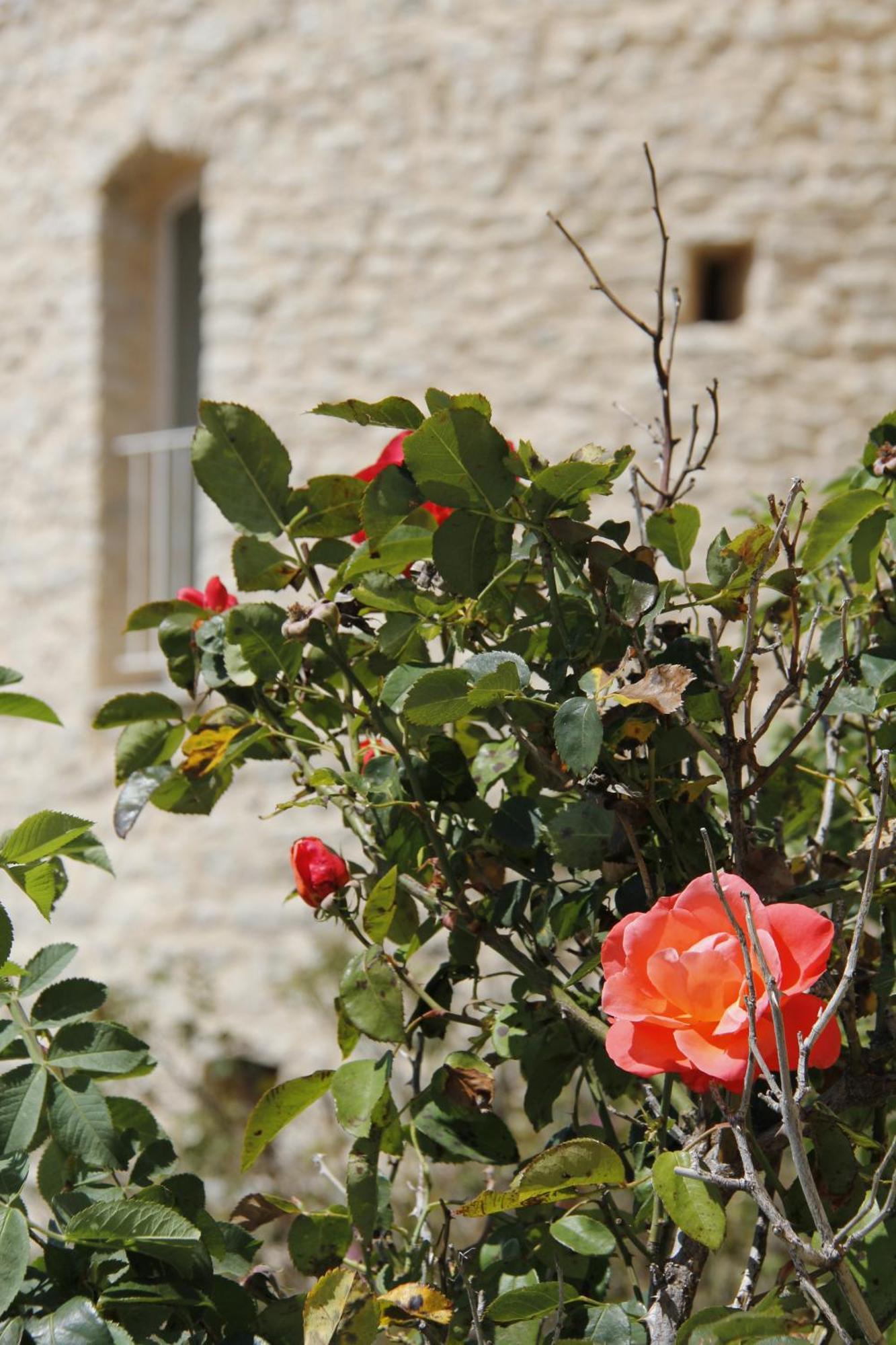 Château De La Gabelle