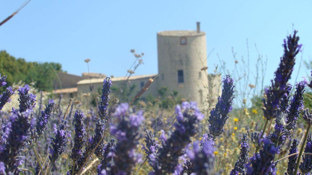 Château De La Gabelle Couette-café 3*